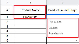 Product Launch Plan Template example